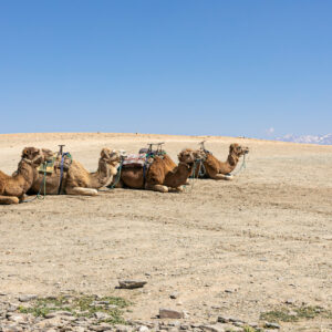 Marrakech, the other city